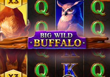 Слот Big Wild Buffalo в Dragon Money